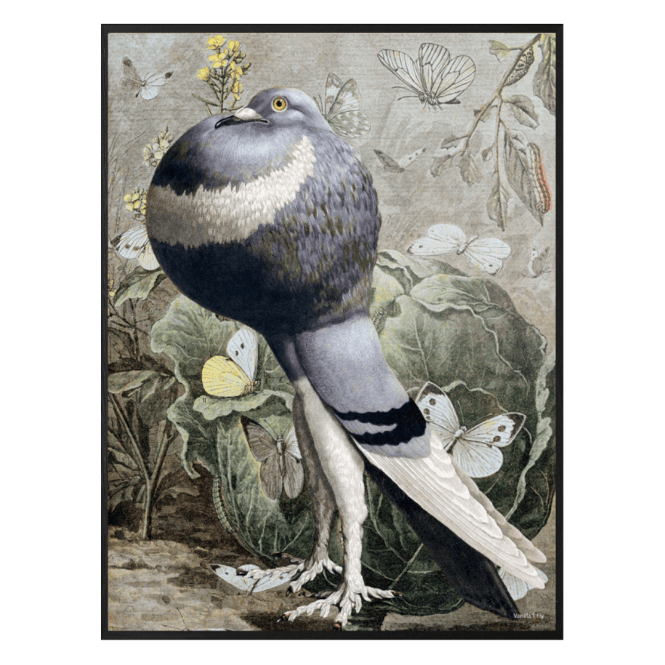 Pigeon Pout Print