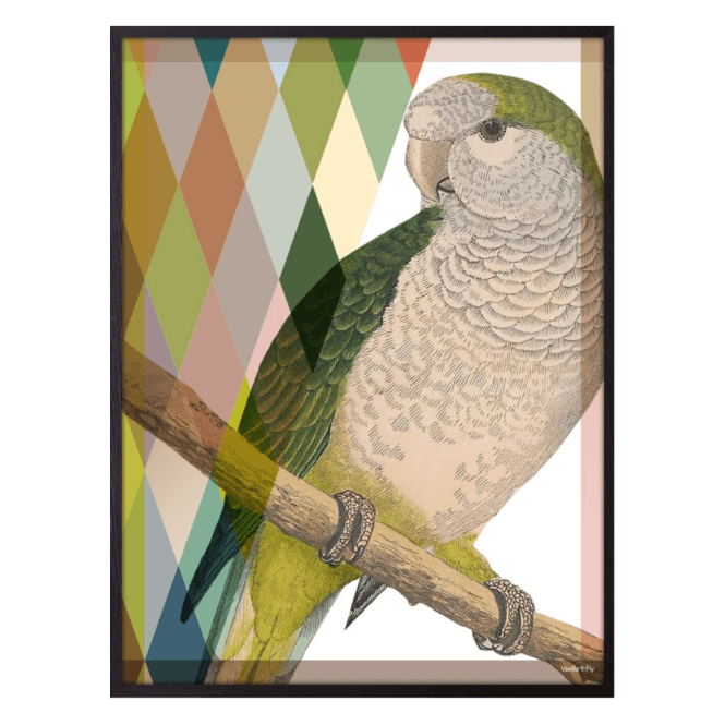 Proud Parrot Print
